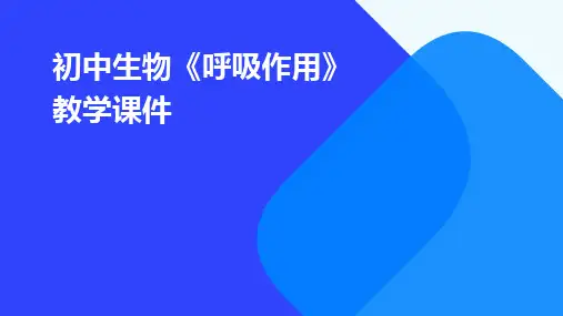 初中生物《呼吸作用》教学课件