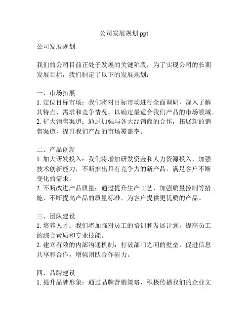公司发展规划ppt