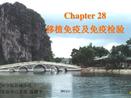 移植及免疫学检验  ppt课件