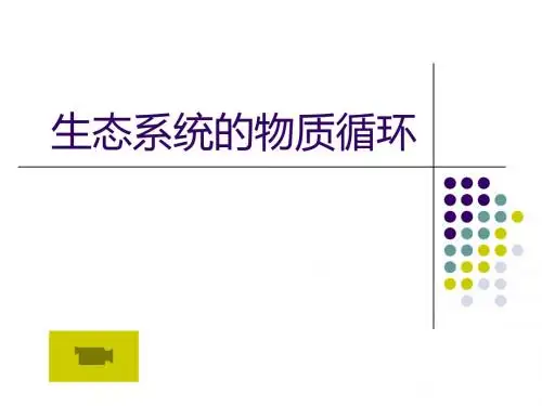 《生态系统的物质循环》课件