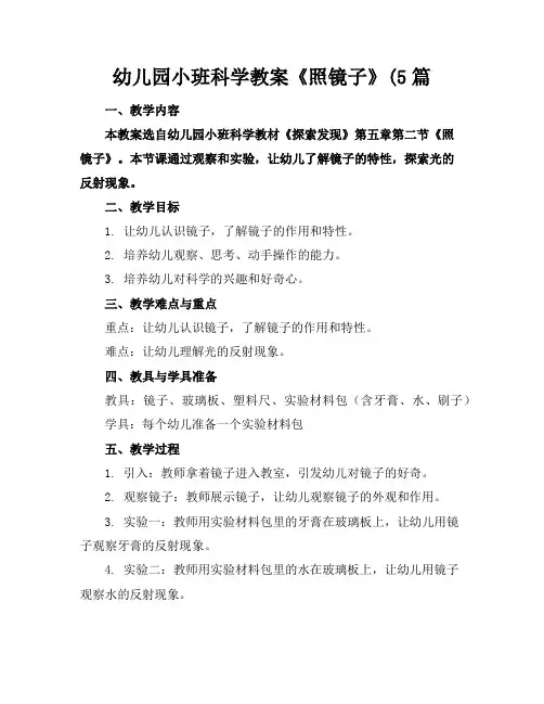 幼儿园小班科学教案《照镜子》(5篇