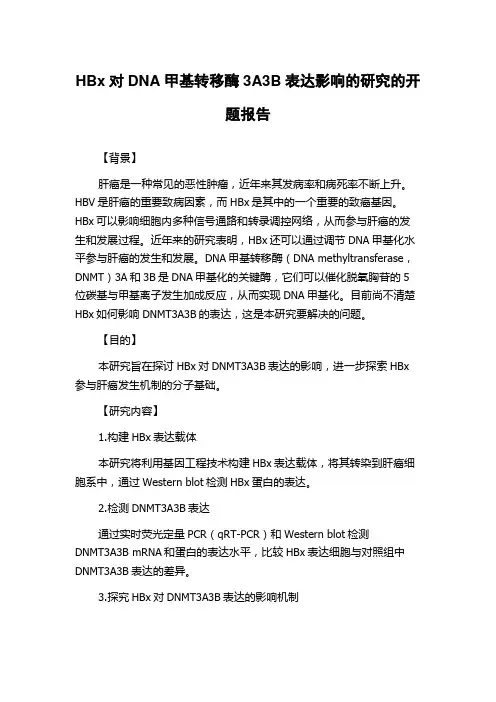 HBx对DNA甲基转移酶3A3B表达影响的研究的开题报告