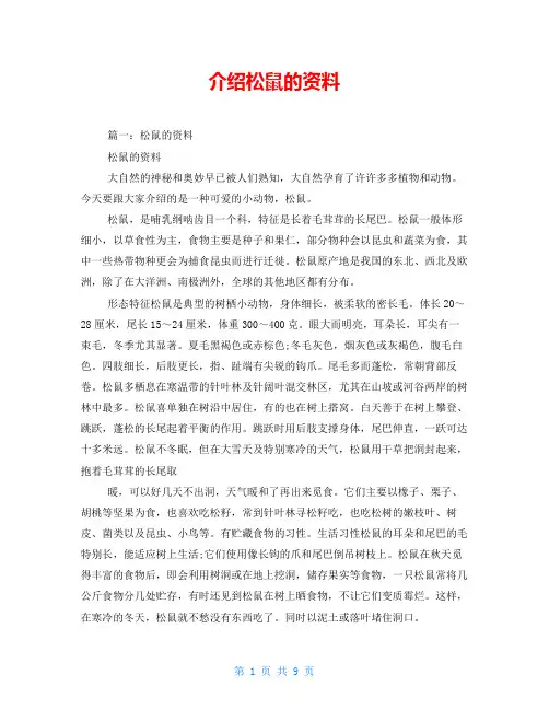 介绍松鼠的资料