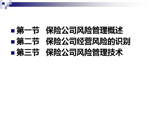 保险公司风险管理PPT课件