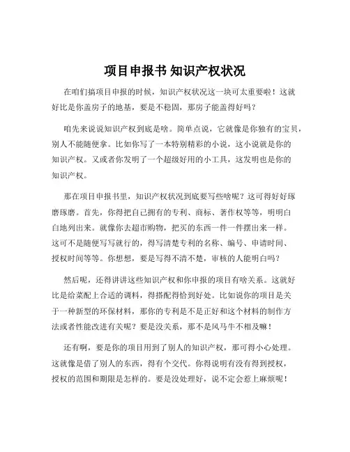 项目申报书 知识产权状况