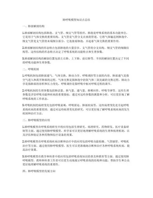 肺呼吸模型知识点总结