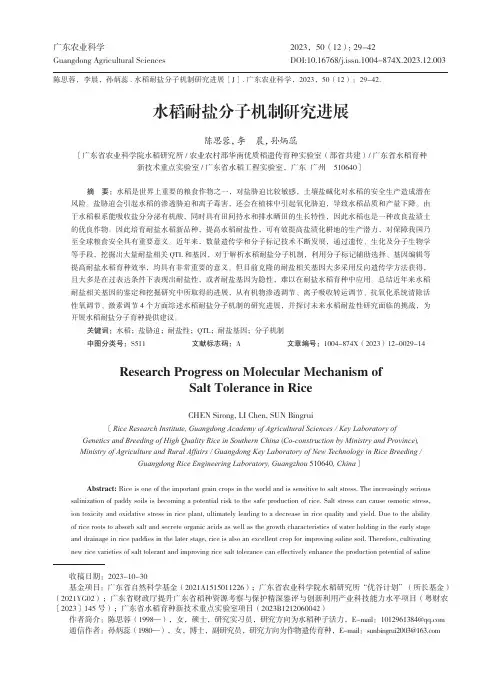水稻耐盐分子机制研究进展