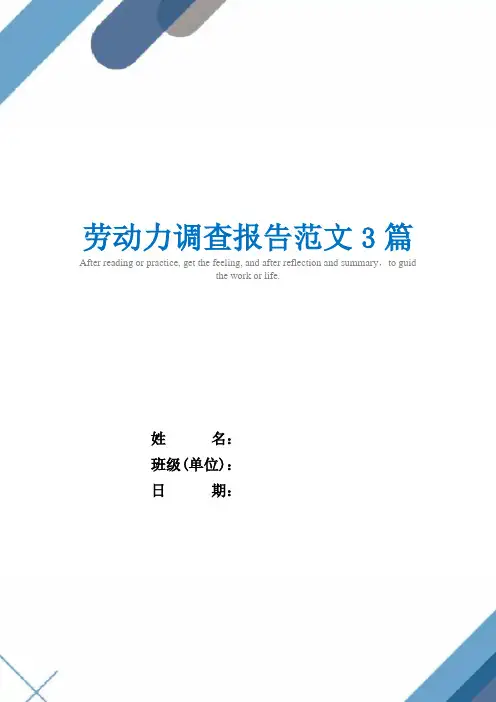 劳动力调查报告范文3篇精选