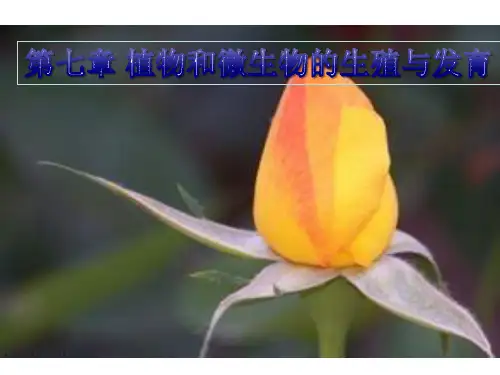 春华师大版科学七下《绿色开花植物的有性生殖与发育》PPT课件