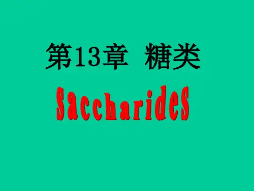 糖的概念和分类