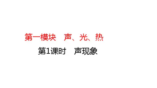 中考物理一轮复习课件：第1课时 声现象