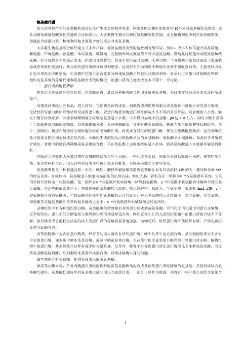 氨基酸代谢
