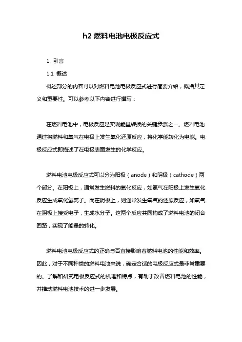 h2燃料电池电极反应式
