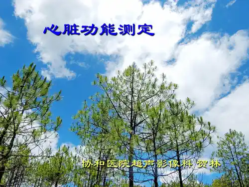 贺林-心功能测定