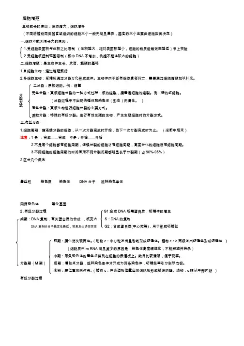 高中生物 细胞增殖 知识点总结