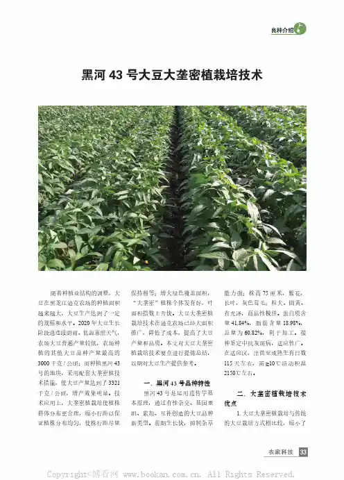 黑河43号大豆大垄密植栽培技术