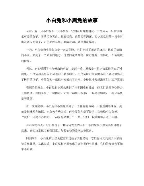 小白兔和小黑兔的故事