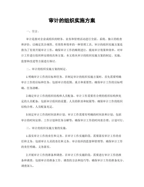 审计的组织实施方案