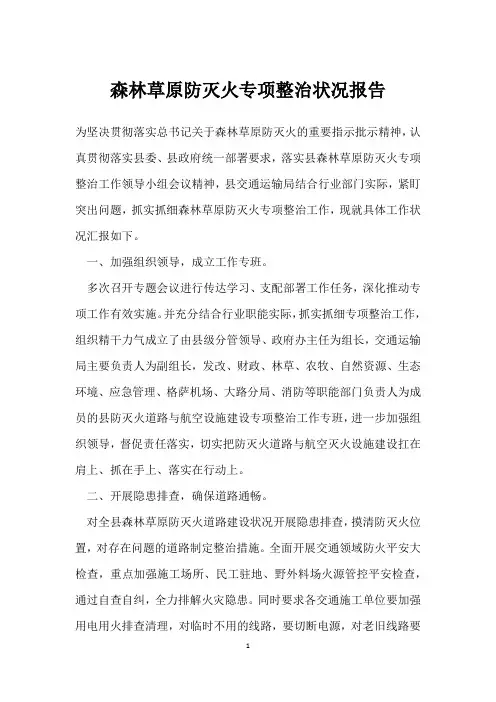 森林草原防灭火专项整治情况报告