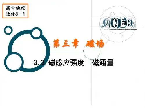 3.3磁感应强度和磁通量