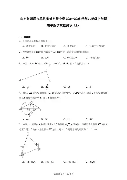 山东省菏泽市单县希望初级中学2024-2025学年九年级上学期期中数学模拟测试(A)