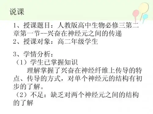兴奋在神经元之间的传递