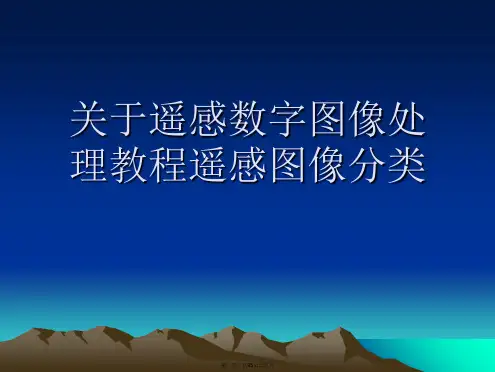 遥感数字图像处理教程遥感图像分类课件