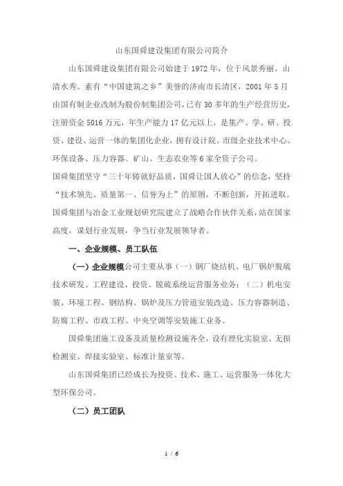 山东国舜集团简介