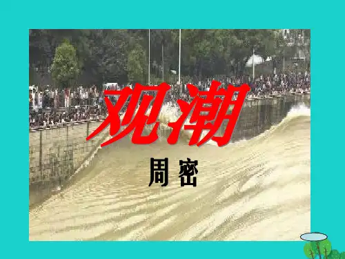 八年级语文上册 28《观潮》课件 新人教版