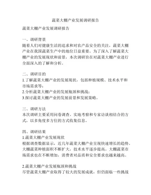 蔬菜大棚产业发展调研报告