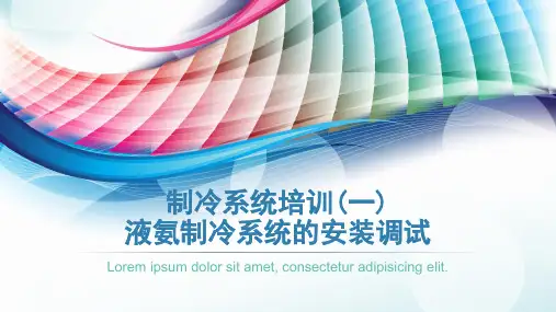 制冷系统培训(一)液氨制冷系统的安装调试精品PPT课件