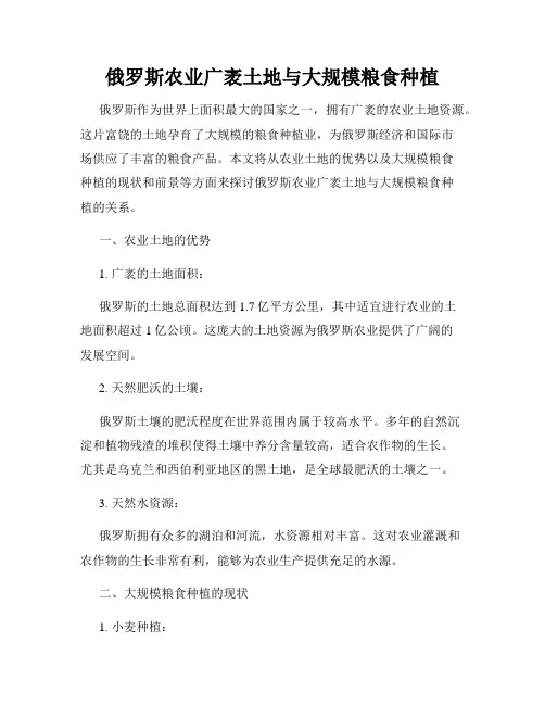 俄罗斯农业广袤土地与大规模粮食种植
