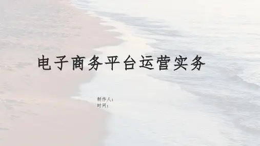 电子商务平台运营实务