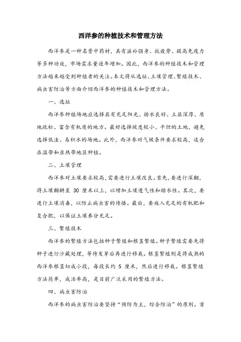 西洋参的种植技术和管理方法