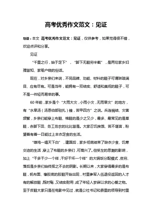 高考优秀作文范文：见证