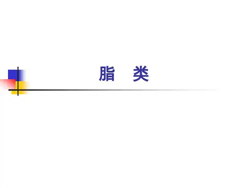 脂类