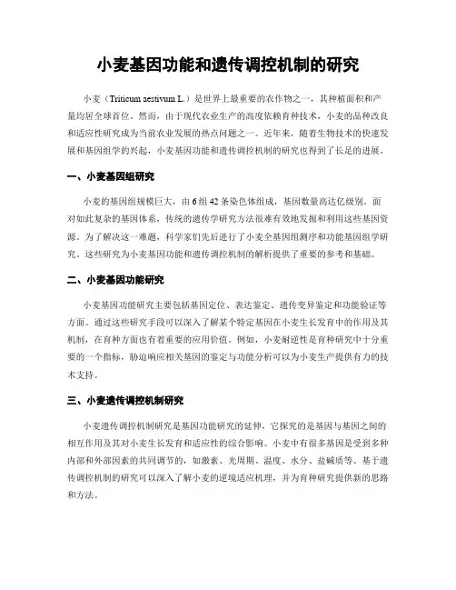 小麦基因功能和遗传调控机制的研究