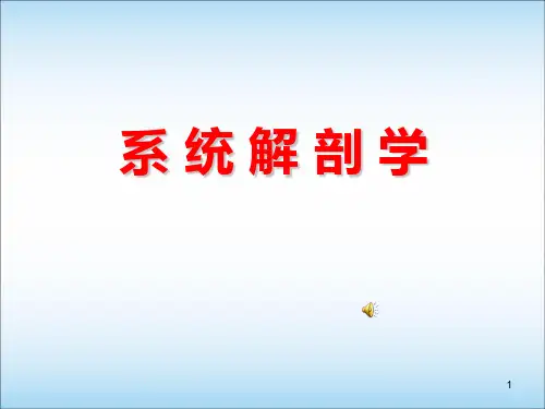 (医学课件)脑的解剖结构PPT幻灯片