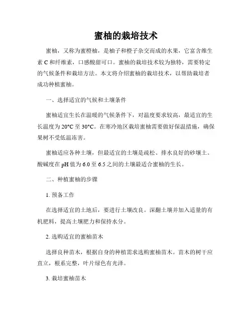 蜜柚的栽培技术