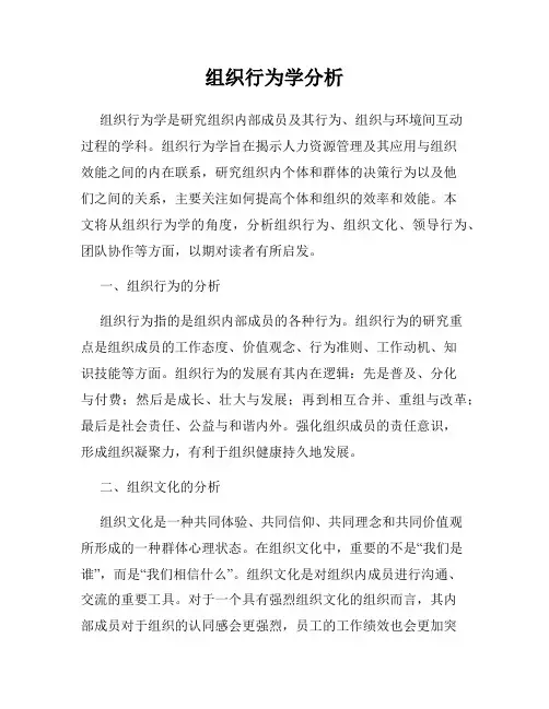 组织行为学分析