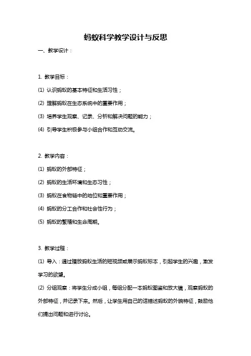 蚂蚁科学教学设计与反思