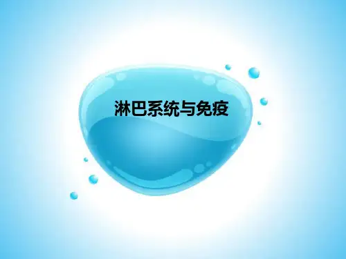 淋巴系统与免疫