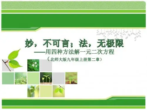 微课(四种方法解一元二次方程)