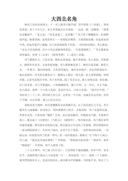 大西北名角