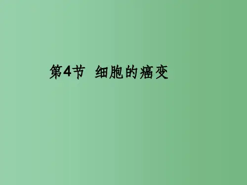 专版高中生物 第六章 第四节 细胞的癌变课件 新人教版必修1
