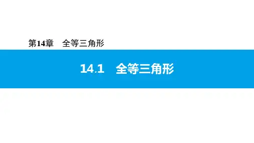 14.1  全等三角形-2020秋沪科版八年级数学上册课件(共16张PPT)