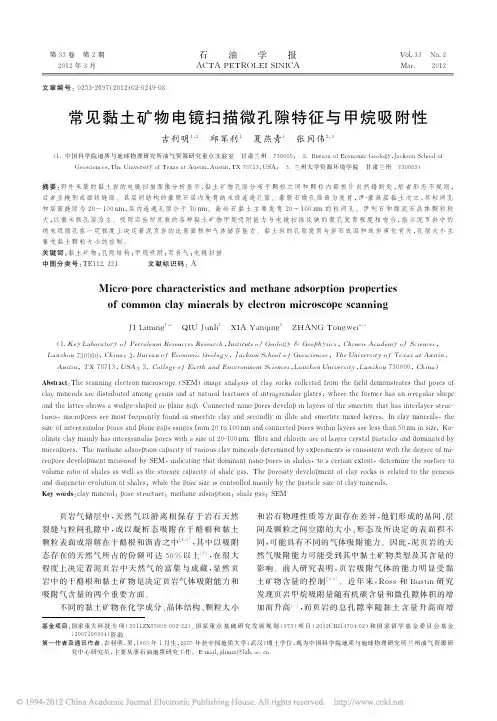 常见黏土矿物电镜扫描微孔隙特征与甲烷吸附性_吉利明