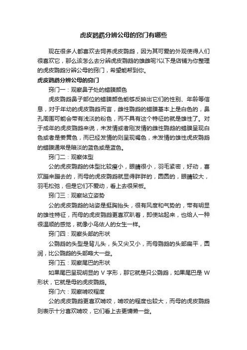 虎皮鹦鹉分辨公母的窍门有哪些