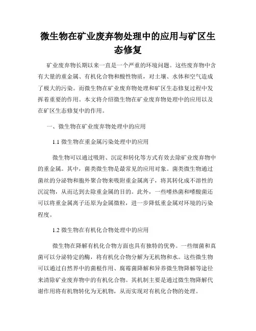 微生物在矿业废弃物处理中的应用与矿区生态修复