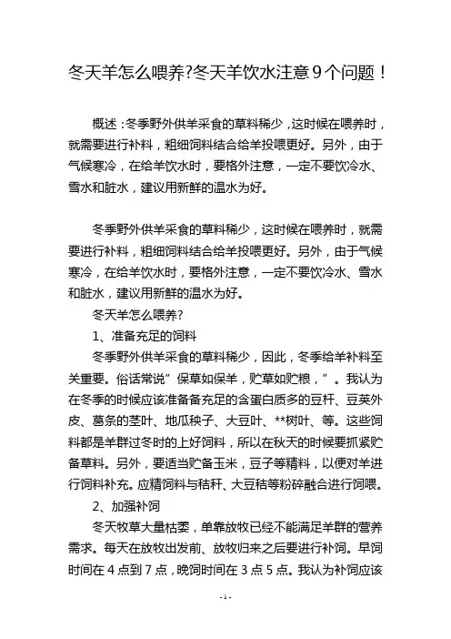 冬天羊怎么喂养-冬天羊饮水注意9个问题!
